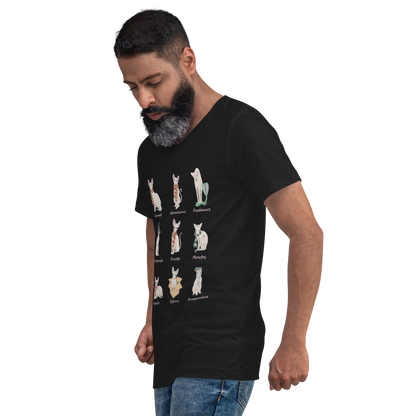 "HARRY POTTER SPHYNX" UNISEX ECO TEE by ReNewedPet
