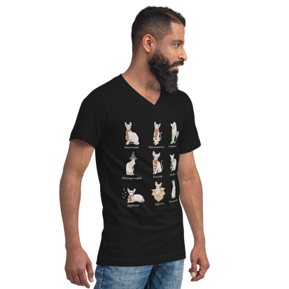 "HARRY POTTER SPHYNX" UNISEX ECO TEE by ReNewedPet
