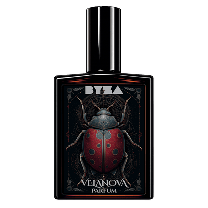 VelanovaPerfumeTorqelo.com