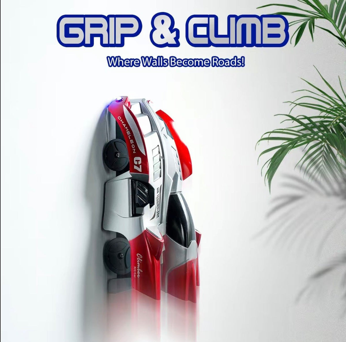WallRider RC CarTorqelo.com