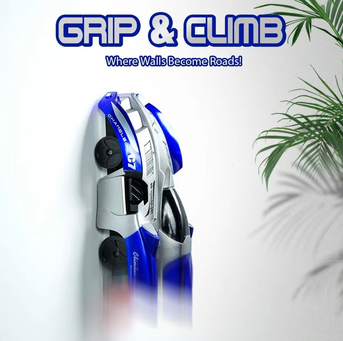 WallRider RC CarTorqelo.com