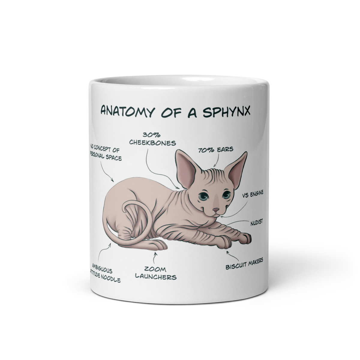 "ANATOMY OF A SPHYNX CAT" COFFEE MUG by ReNewedPet