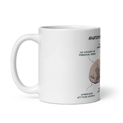 "ANATOMY OF A SPHYNX CAT" COFFEE MUG by ReNewedPet