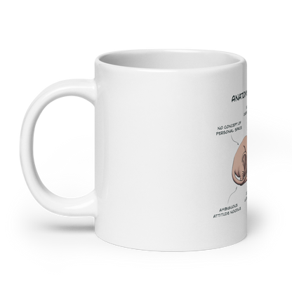"ANATOMY OF A SPHYNX CAT" COFFEE MUG by ReNewedPet