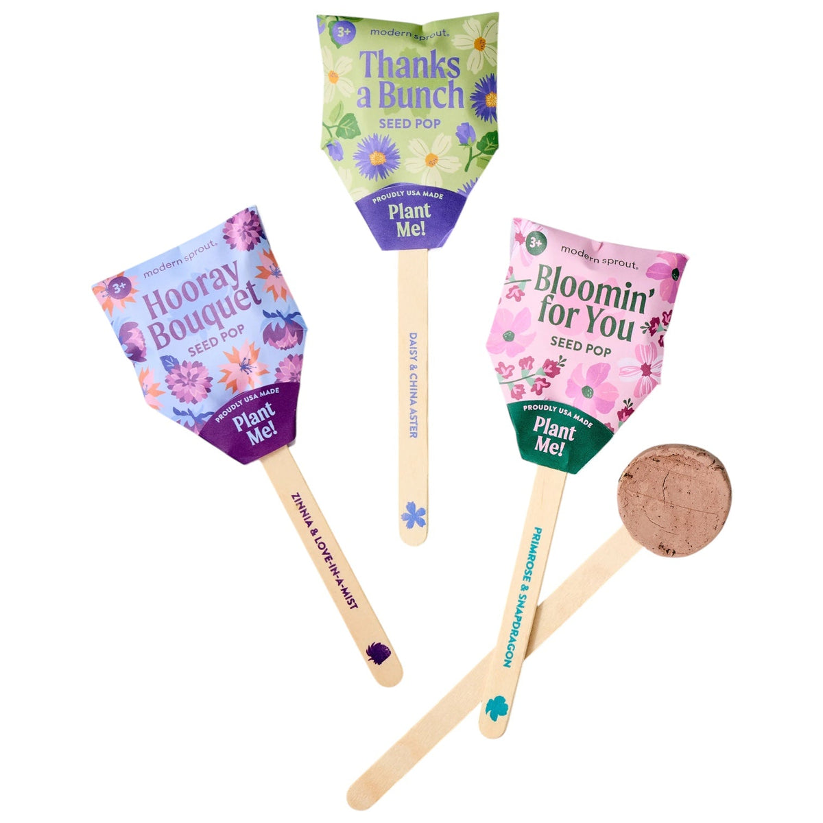 Plantable Wildflower Seed Pop Gift | Modern Sprout by Rust & Cinder