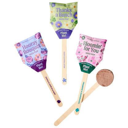 Plantable Wildflower Seed Pop Gift | Modern Sprout by Rust & Cinder
