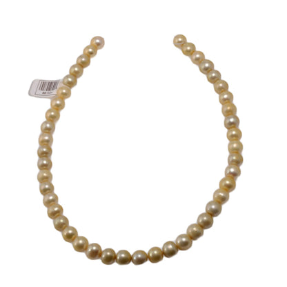 Golden South Sea Pearl Imitation Strand 9mm Beads 14.5 inches - Premium Jewelry Making Pearls by Continental Bead Suppliers