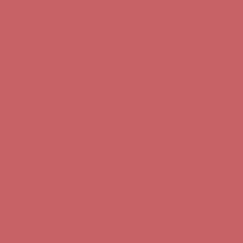 Astra Professional Lip Pencil 47 Gentle Petal for Defined Lips by Beauty Care Bag