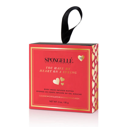 You Have My Heart on a String: Boxed Heart Shaped SpongeBody Wash Infused BufferTorqelo.com