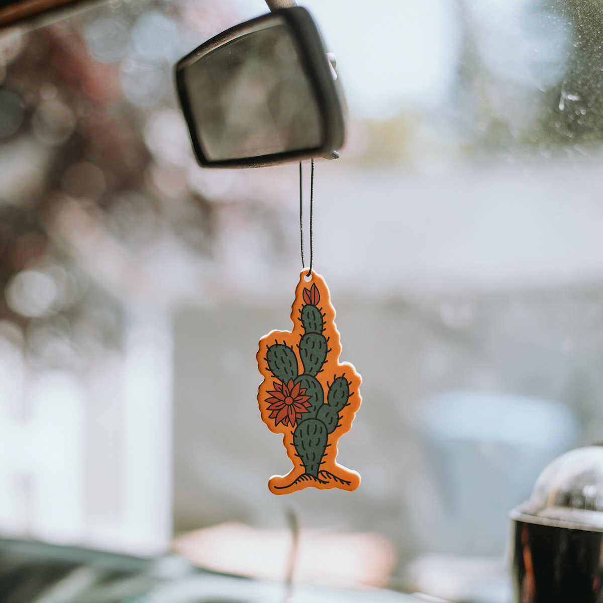 Zion National Park Air Freshener by Good & Well Supply Co.